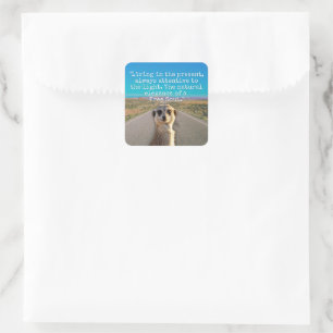 Adventurous Meerkat Living Square Sticker