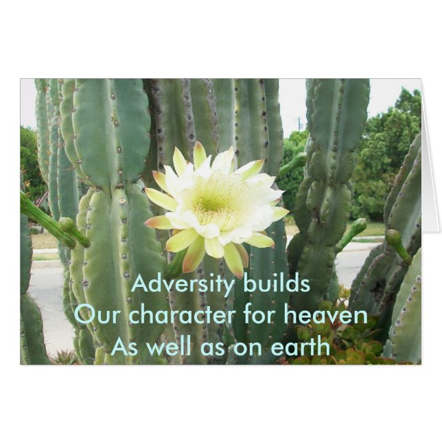 Adversity Builds (Front Horizontal)