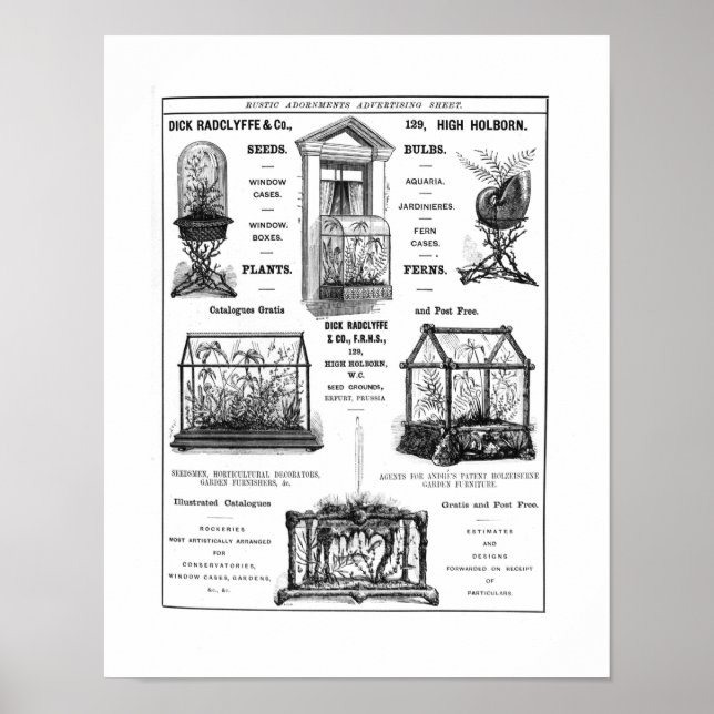 Advertisement for 'Dick Radclyffe & Co.' Rustic Ad Poster (Front)