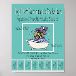 Advertising Promotional Poster Dog & Cat Grooming
