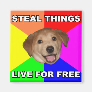 Advice Dog Steal Things, Live for Free Magnet