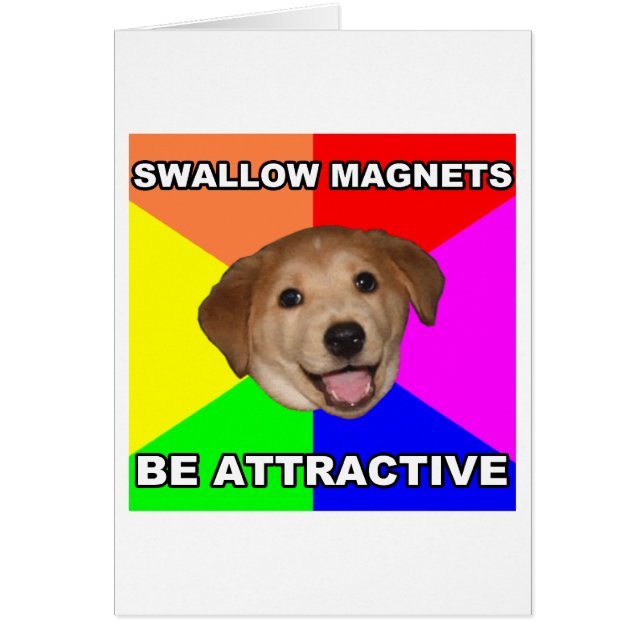 Advice Dog Swallow Magnets (Front)