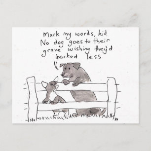 Advice for a Puppy Postcard