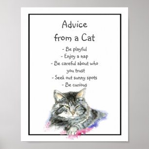 Advice from a Cat Fun Animal Humor Poster