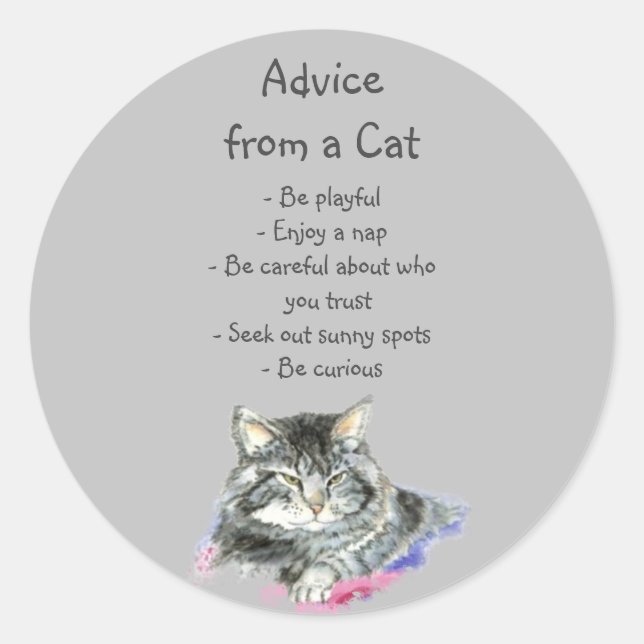 Advice from a Cat Fun Animal Humour Classic Round Sticker (Front)