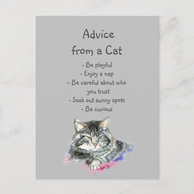Advice from a Cat Fun Animal Humour Postcard (Front)