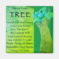 Advice from a tree magnet