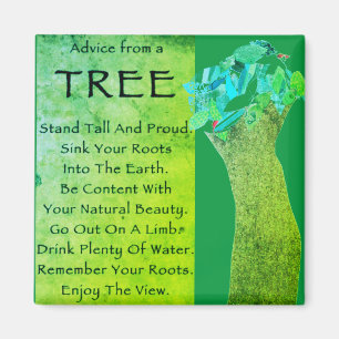 Advice from a tree magnet