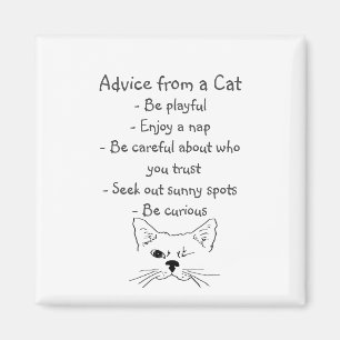 Advice from Winking Cat Fun Animal Humor Magnet