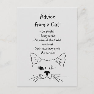 Advice from Winking Cat Fun Animal Humour Postcard