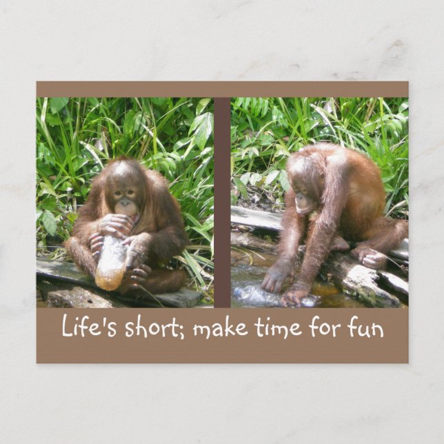 advice: Life's short, have fun Postcard (Front)