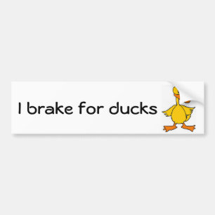 AE- I brake for ducks bumper sticker