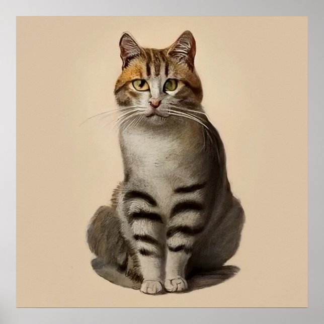 Aegean - Cat Portrait Poster (Front)
