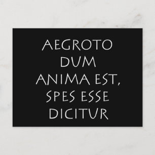 Aegroto dum anima est spes esse dicitur postcard