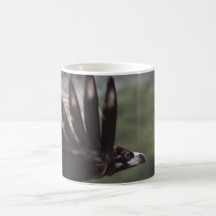 Aegypius monachus coffee mug