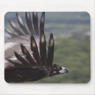 Aegypius monachus mouse mat
