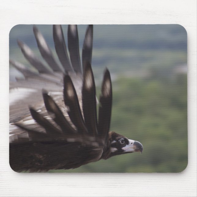 Aegypius monachus mouse mat (Front)