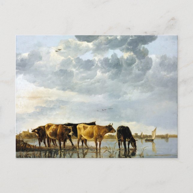Aelbert Cuyp Cows in a River Postcard (Front)