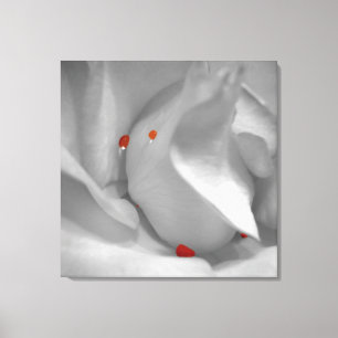 Aeolian Watercolor Canvas Print