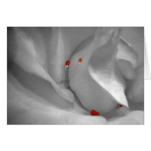 Aeolian Watercolor Card