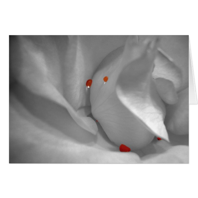 Aeolian Watercolor Card (Front Horizontal)