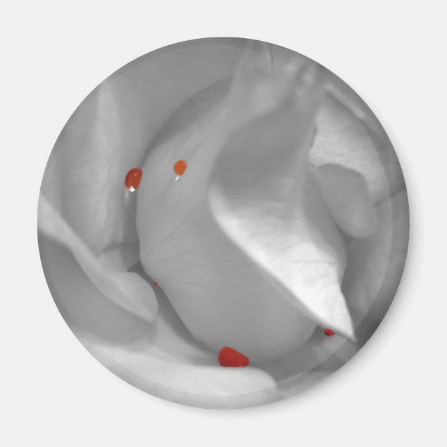 Aeolian Watercolor Magnet (Front)