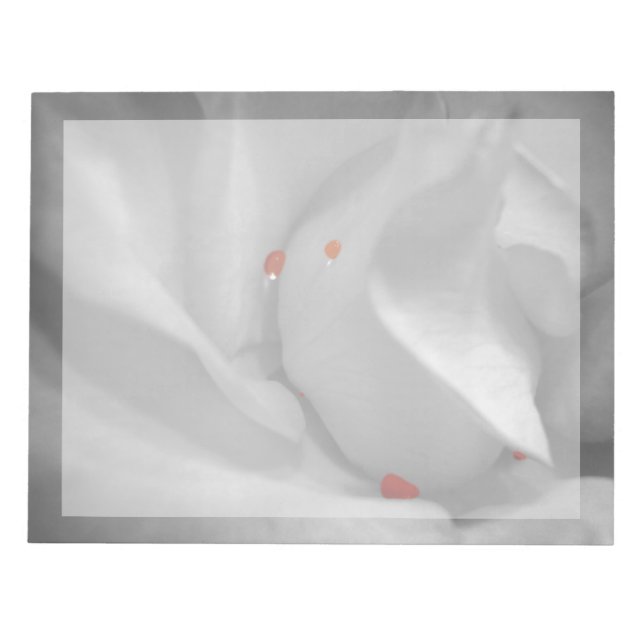 Aeolian Watercolor Notepad (Front)