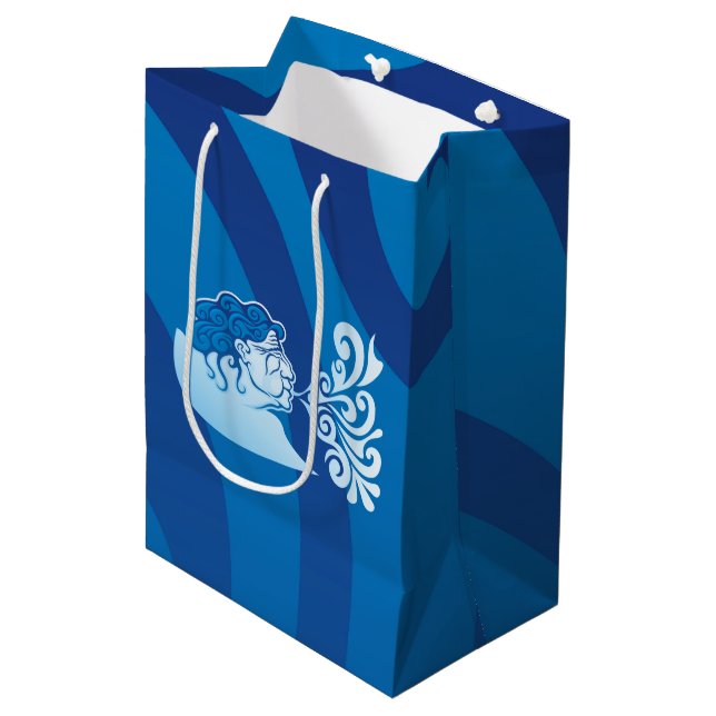 Aeolus Medium Gift Bag (Front Angled)