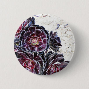 Aeonium Flower On Dry Rocks 6 Cm Round Badge