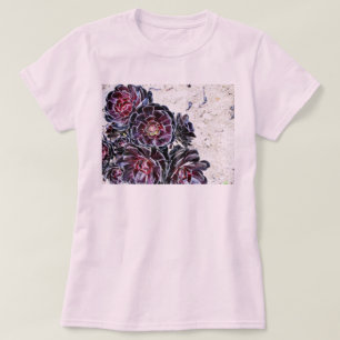 Aeonium Flower On Dry Rocks T-Shirt