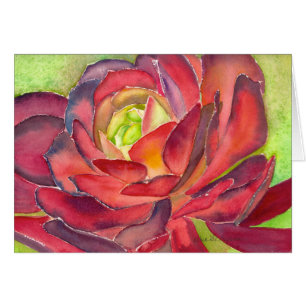 Aeonium watercolor card by Debra Lee Baldwin