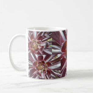 Aeonium Zwartkop succulent mug