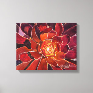 Aeonium 'Zwartkop' Watercolor Canvas Print