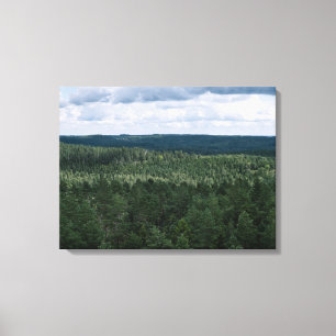 Aerial Forest And Clouds Nature Landscape Photo Canvas Print