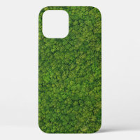 Aerial forest view, top view, copy space.