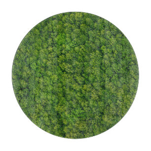 Aerial forest view, top view, copy space. cutting board
