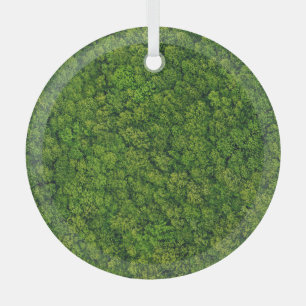Aerial forest view, top view, copy space. glass tree decoration