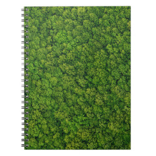 Aerial forest view, top view, copy space. notebook