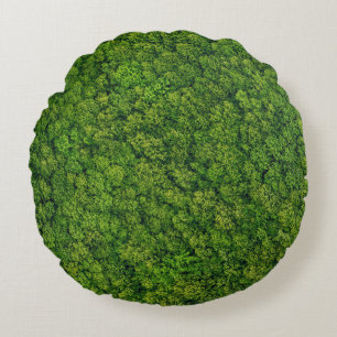 Aerial forest view, top view, copy space. round cushion