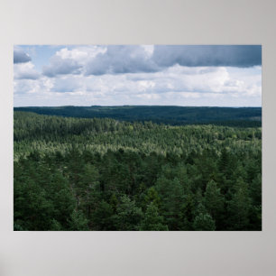 Aerial Green Nordic Forest Landscape Photography Poster