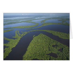 Aerial of Anavilhanas Archipelago, Flooded