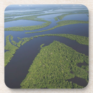 Aerial of Anavilhanas Archipelago, Flooded Coaster