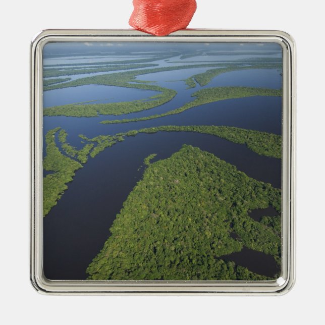 Aerial of Anavilhanas Archipelago, Flooded Metal Tree Decoration (Front)