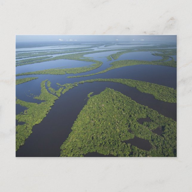 Aerial of Anavilhanas Archipelago, Flooded Postcard (Front)