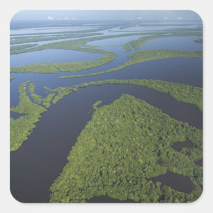 Aerial of Anavilhanas Archipelago, Flooded Square Sticker