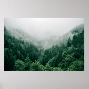 AERIAL PHOTO OF GREEN TREES POSTER