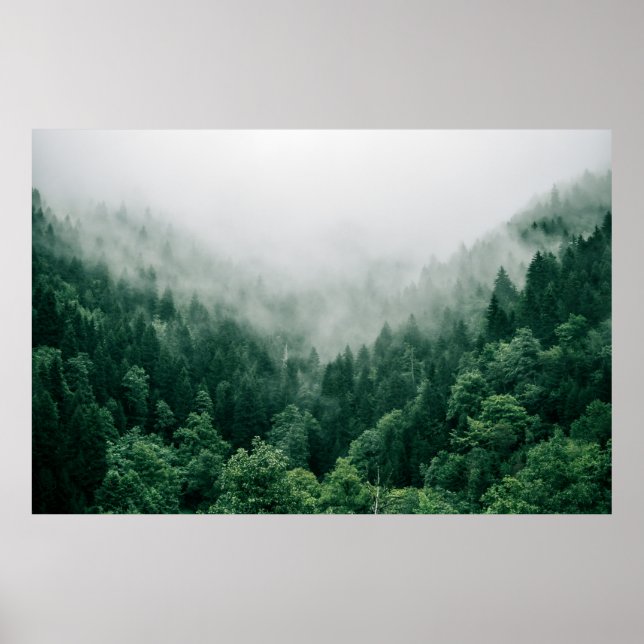 AERIAL PHOTO OF GREEN TREES POSTER (Front)