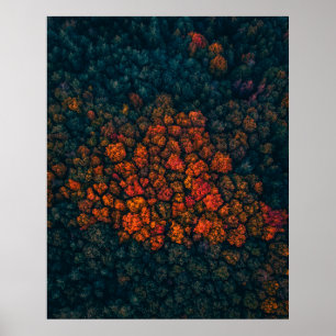 Aerial photography of forest poster