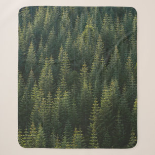AERIAL PHOTOGRAPHY OF FOREST SHERPA BLANKET