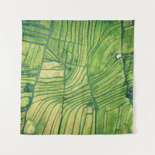 Aerial photography of green farm field tapestry